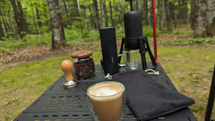 Sylvania Campground 4