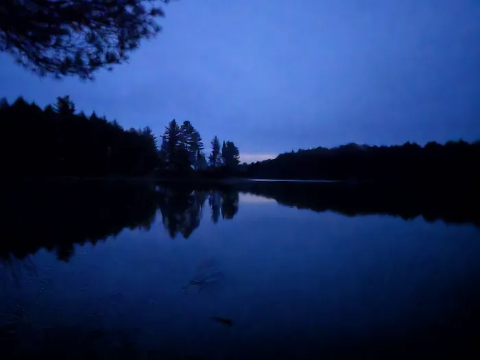 Birch Campground 1