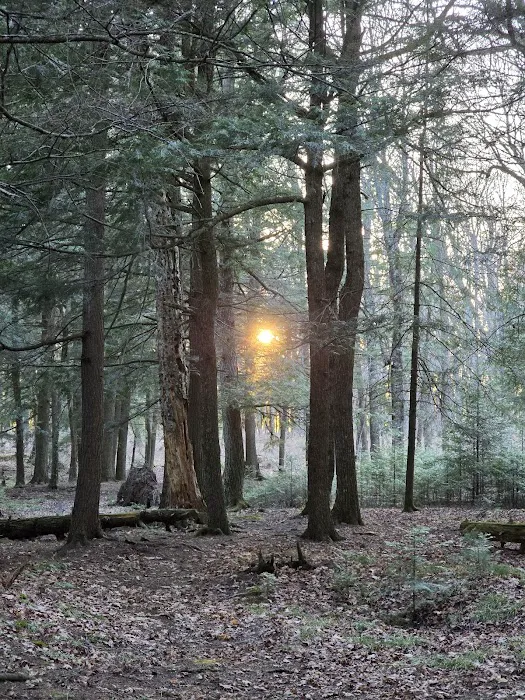 Birch Campground 3