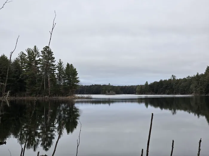 Birch Campground 2