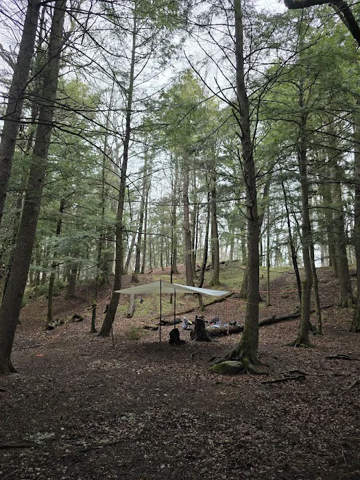 Birch Campground 8