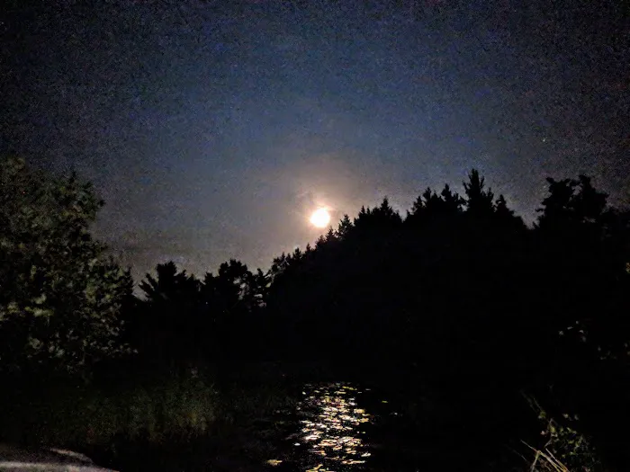 Pine Campground 3