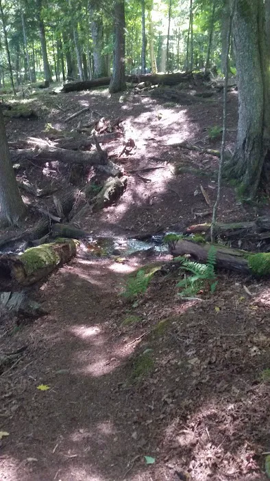 Balsam Campground 8