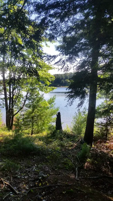 Balsam Campground 2