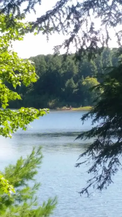 Balsam Campground 1