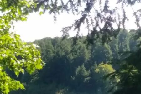 Balsam Campground