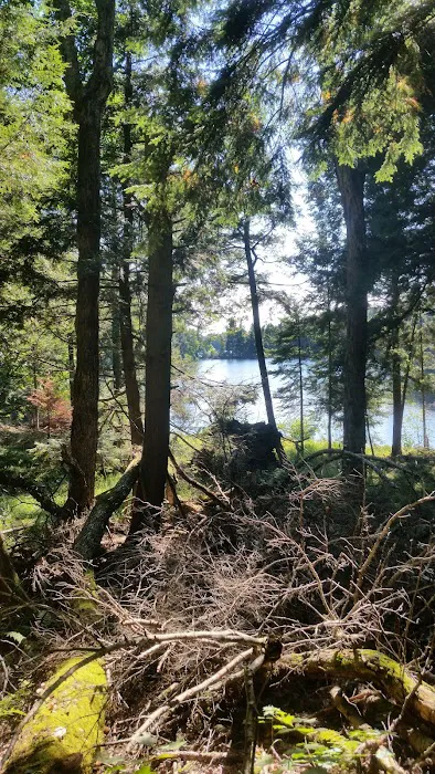 Balsam Campground 5