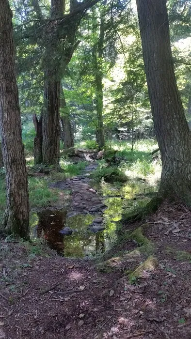 Balsam Campground 6