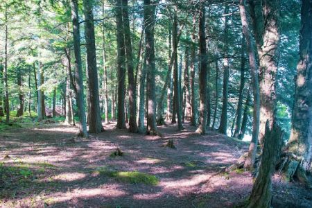 Cedar Campground