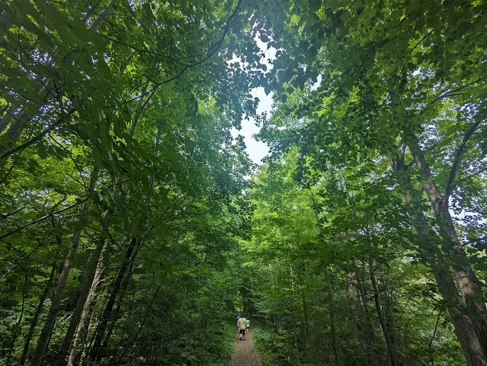 Marquette County Perkins Park & Campground 10