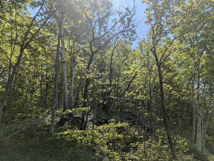 Cliffs Group Campsite 1