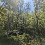 Cliffs Group Campsite