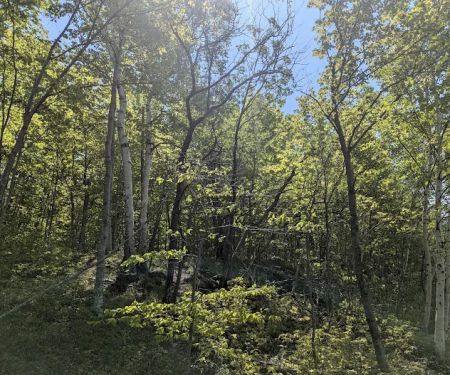 Cliffs Group Campsite