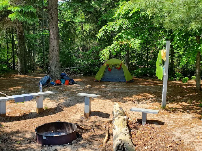 Driftwood Campsite 4