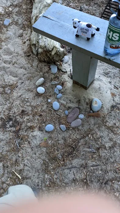 Driftwood Campsite 8