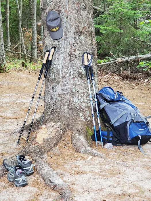 Driftwood Campsite 3