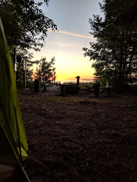 Driftwood Campsite 2