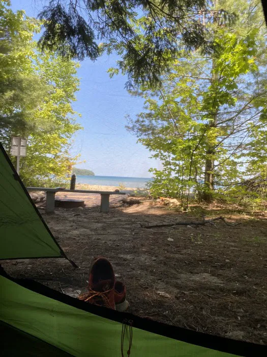 Driftwood Campsite 7