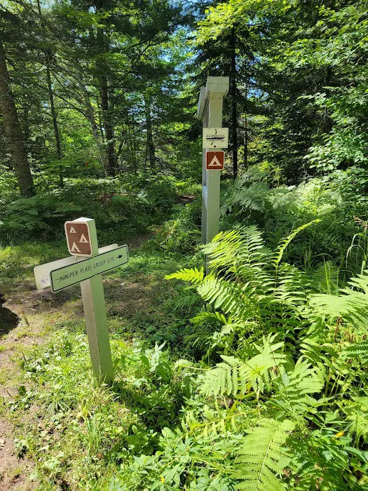 Juniper Flats Group Campsite 8