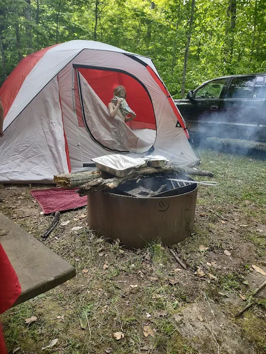 South Manistique Lake Campground 5