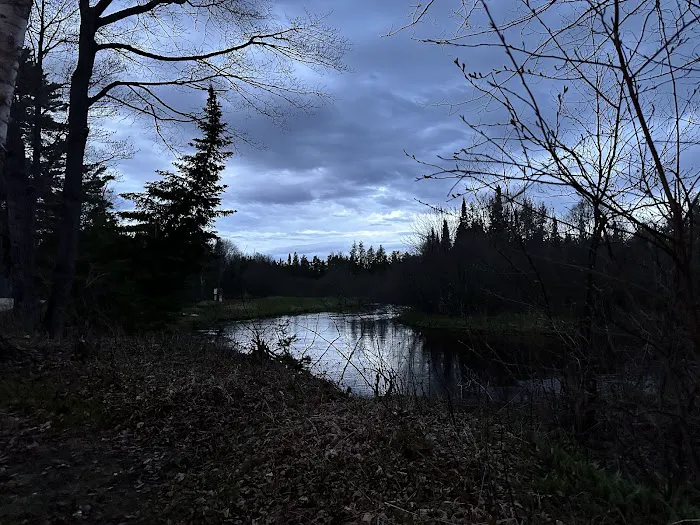 Seney Township Campground 9