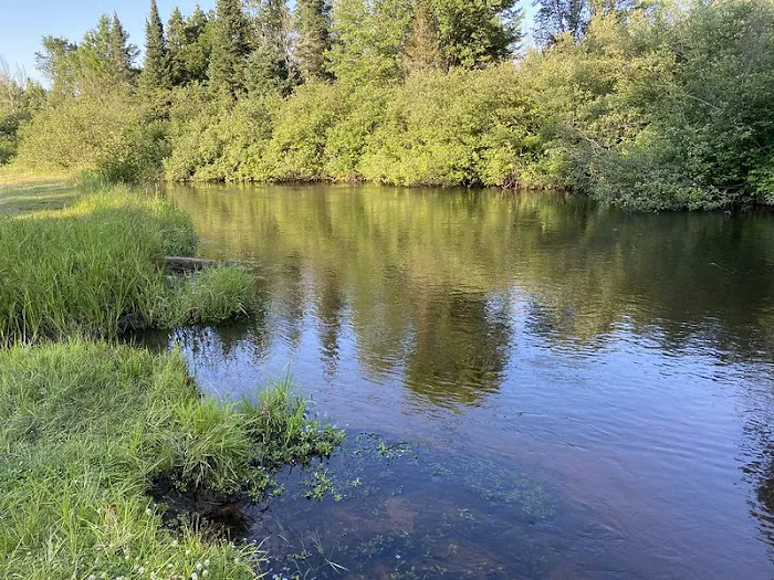 Seney Township Campground 4