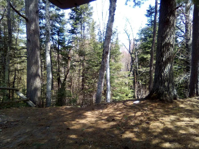 Fox River State Forest Campground 6