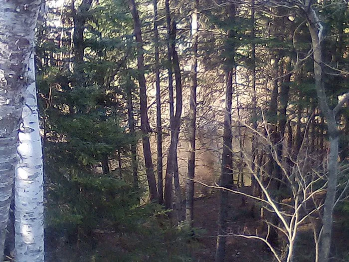 Fox River State Forest Campground 8