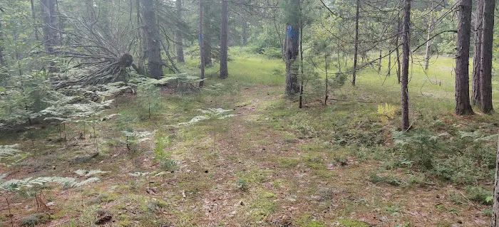 Fox River State Forest Campground 7