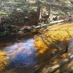 East Branch of the Fox River State Forest Campground