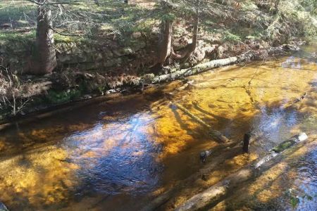 East Branch of the Fox River State Forest Campground