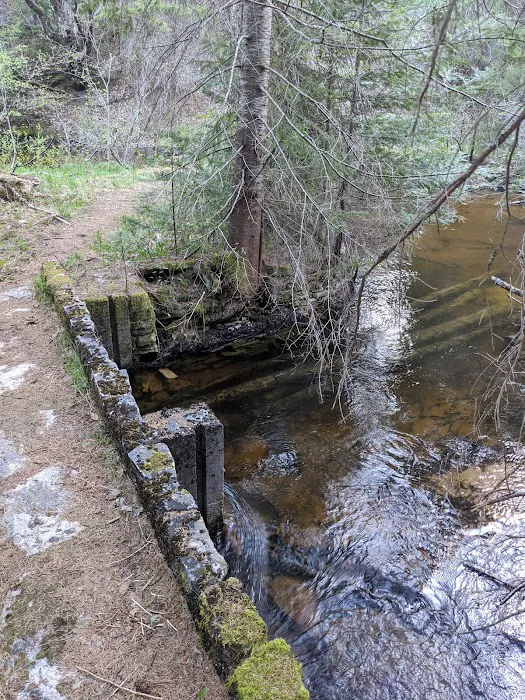 East Branch of the Fox River State Forest Campground 2