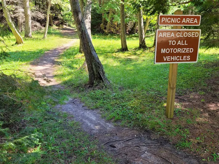 Big Knob State Forest Campground 5