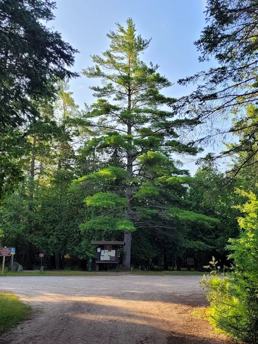 Big Knob State Forest Campground 2