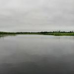 Natalie State Forest Campground