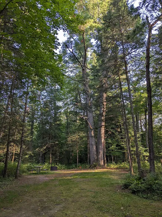 Black River State Forest Campground 4