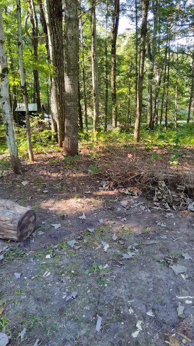 Black River State Forest Campground 7