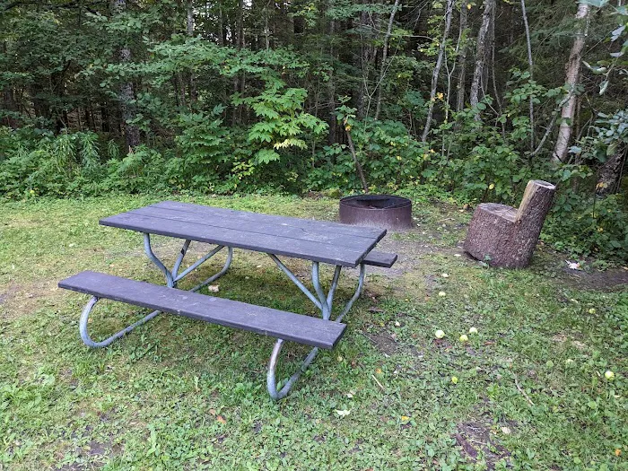 Black River State Forest Campground 2