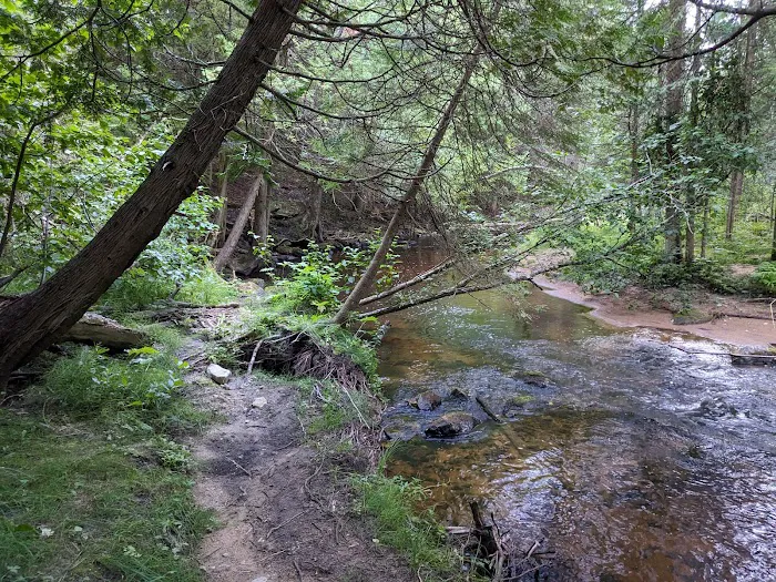 Black River State Forest Campground 6