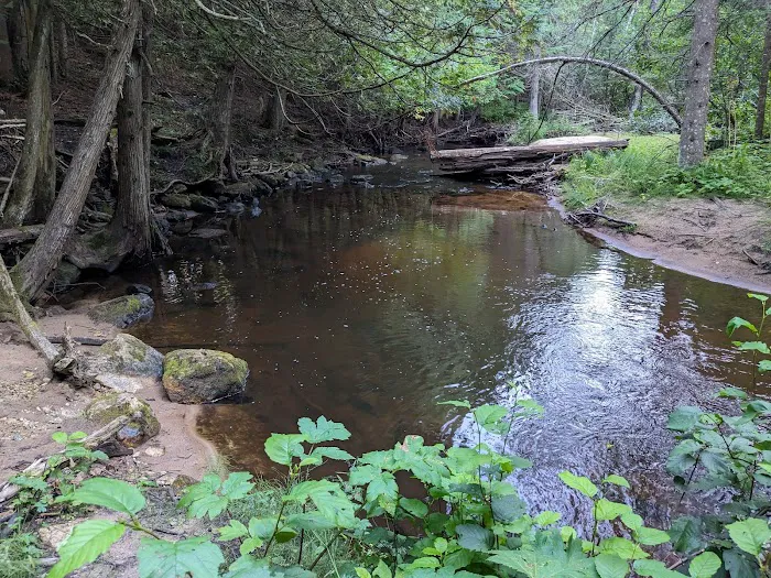 Black River State Forest Campground 1
