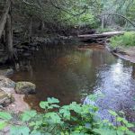 Black River State Forest Campground