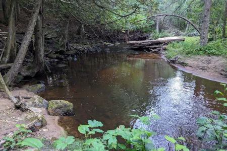 Black River State Forest Campground