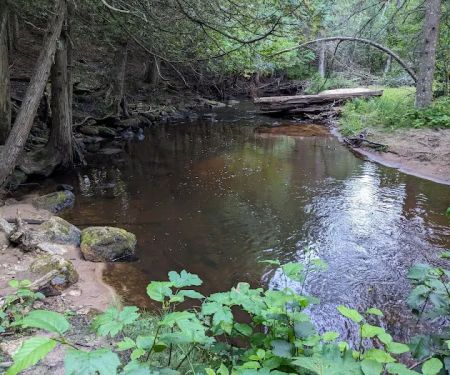 Black River State Forest Campground