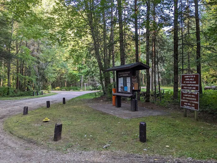 Black River State Forest Campground 8
