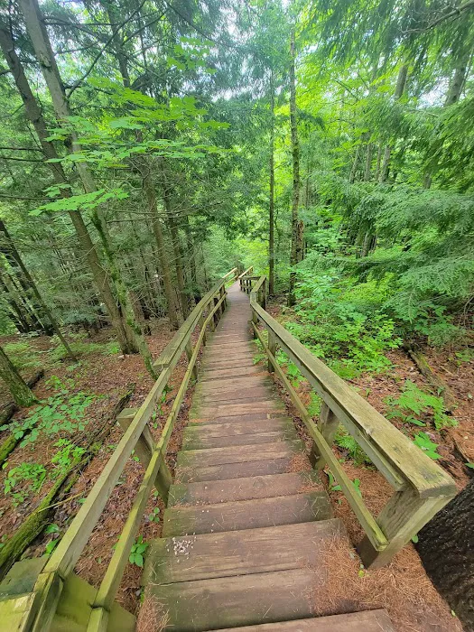 Potato River Falls Campground 10
