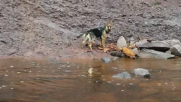 Potato River Falls Campground 2