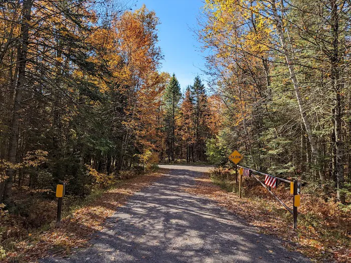 Bobcat Lake Campground 2
