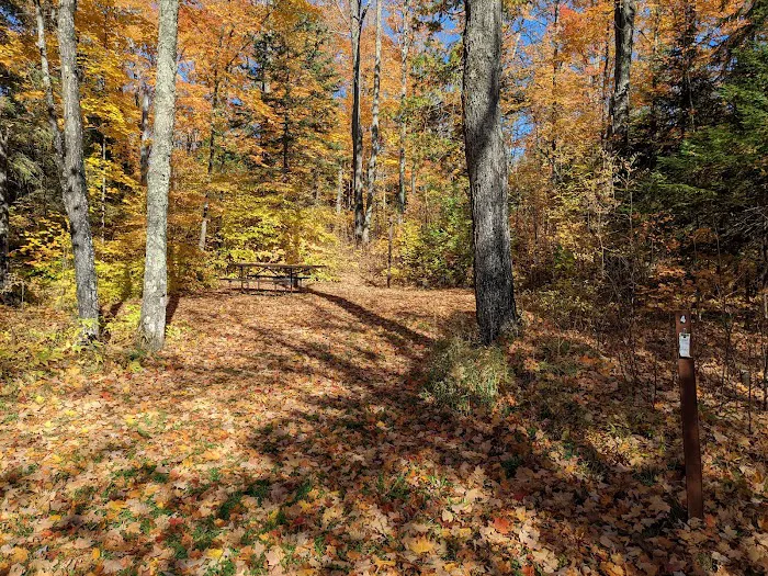 Bobcat Lake Campground 7