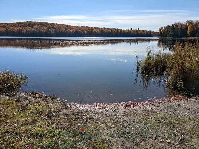 Bobcat Lake Campground 4
