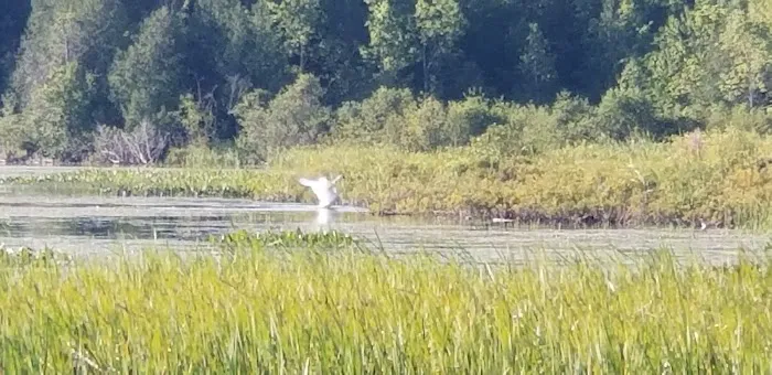 Lake Gogebic County Park 3